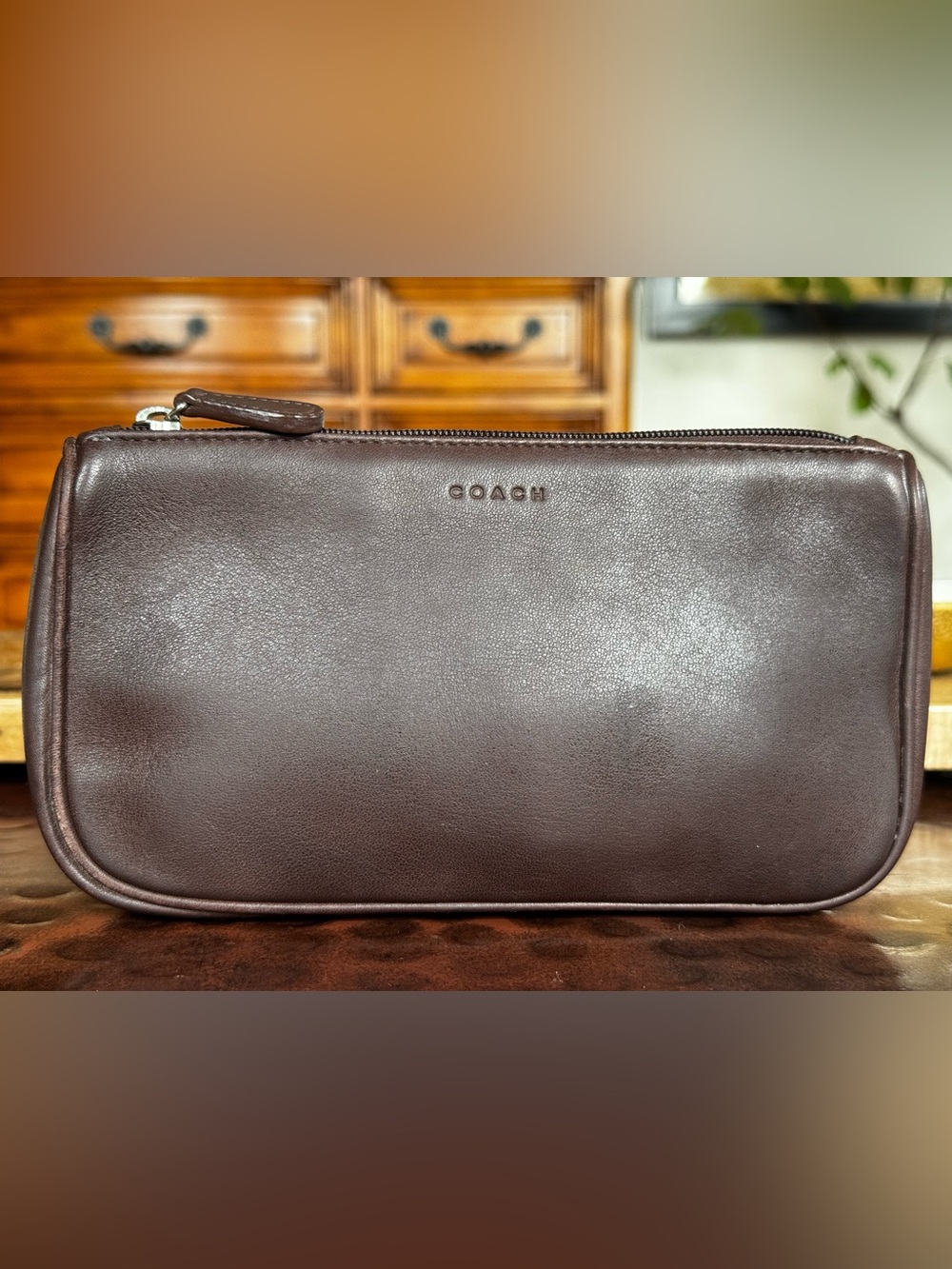 Vintage Coach Brown Leather Cosmetic Pouch Makeup Bag Travel Case USA